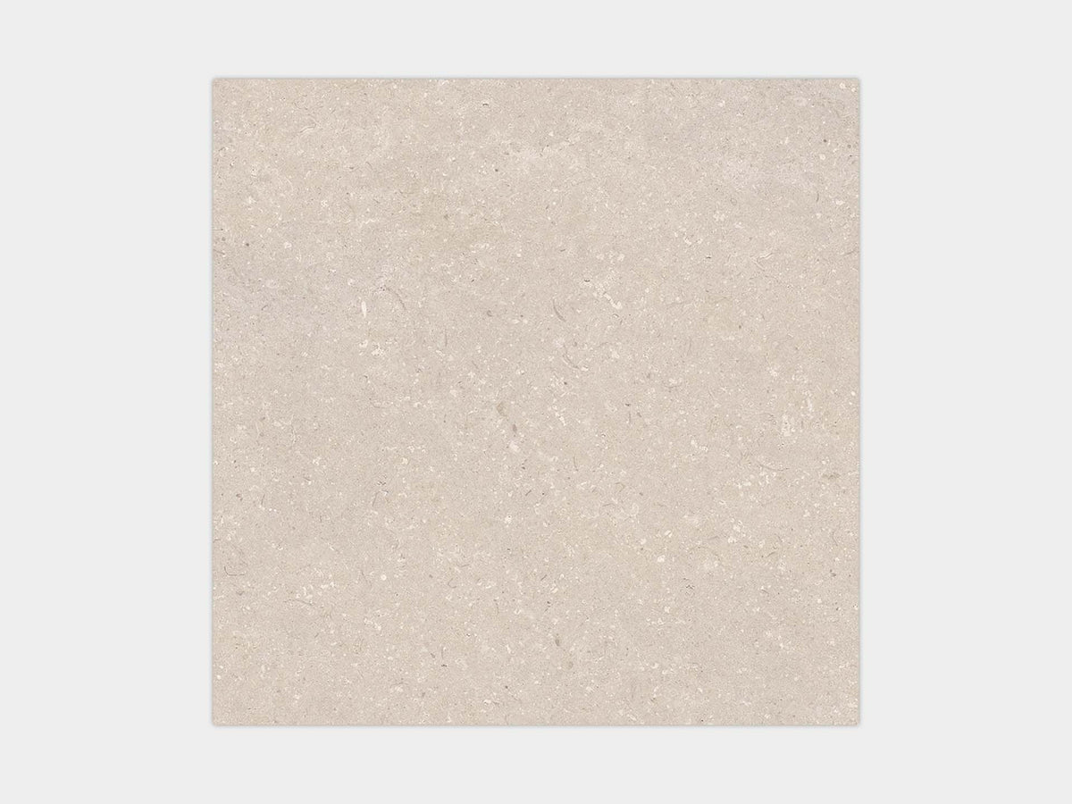 Coral Caliza 80X80 - Porcelanosa