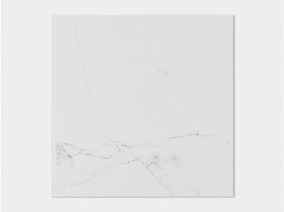 Carrara Blanco Brillo 59.6X59.6