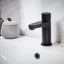 Koko Mini Mono Basin Mixer Brassware Tap Collection - Scudo